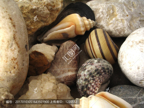 小石子-匯圖網(wǎng) www.fosd68.com 小石子