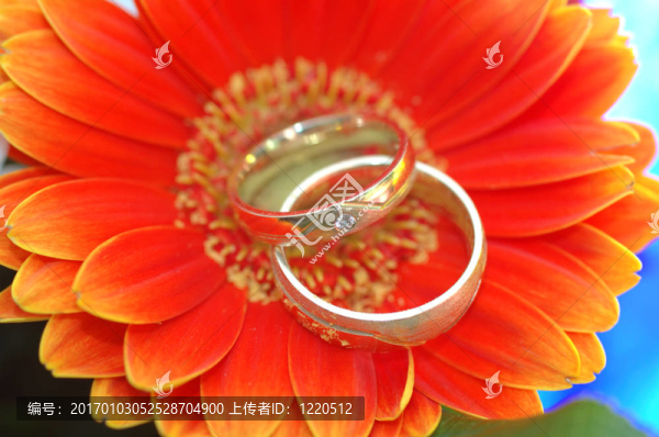 結(jié)婚戒指