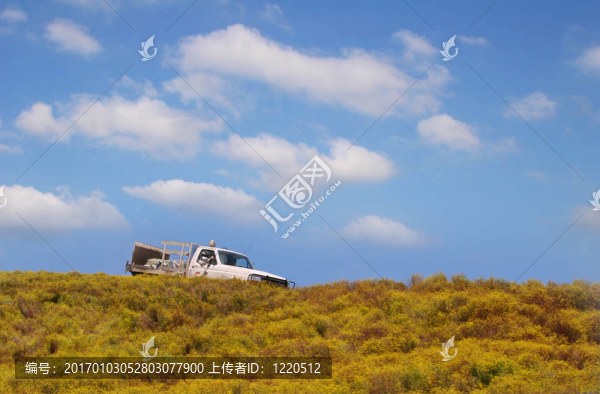 山上的卡車(chē)