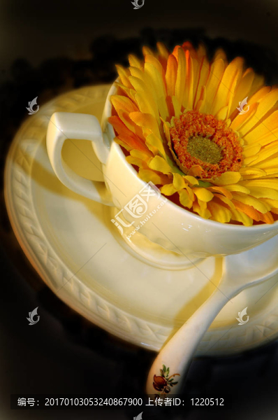 花3杯