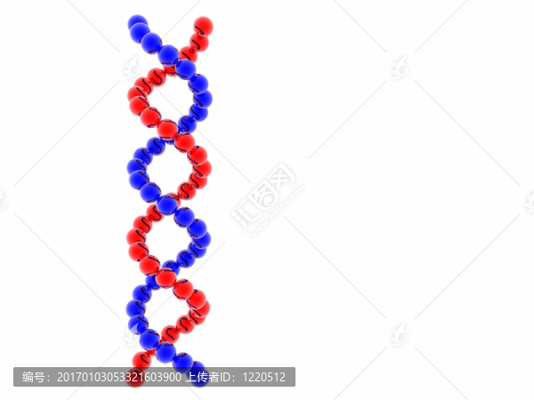 DNA