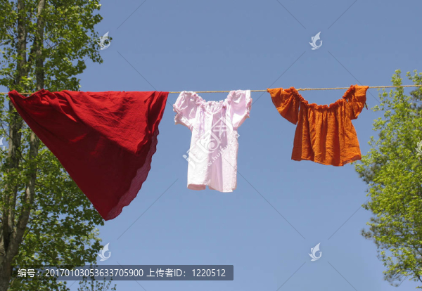 在一條線上的衣服