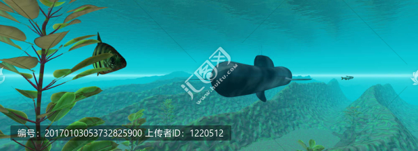 水下
