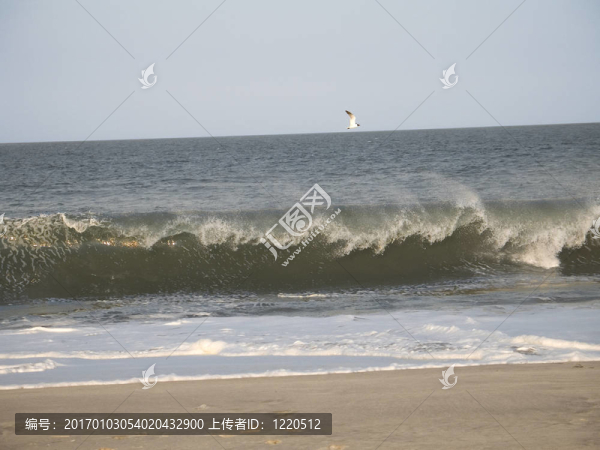 桑迪胡克波