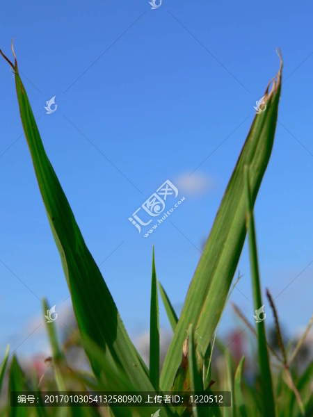 小小的世界