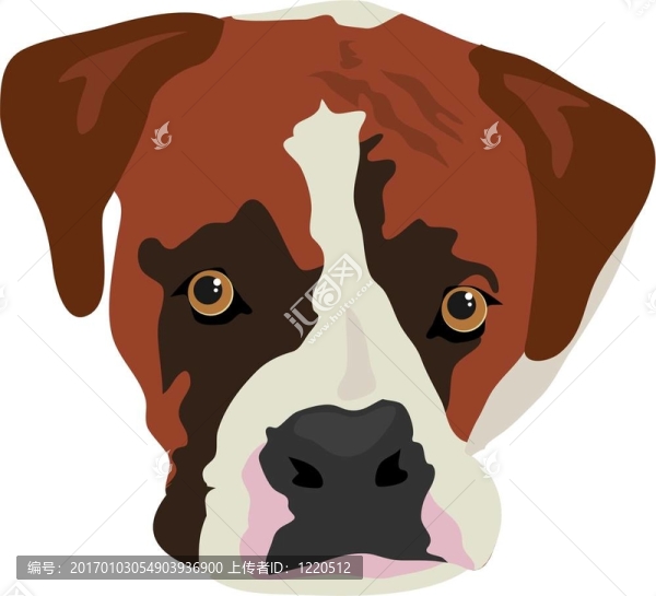 拳師犬
