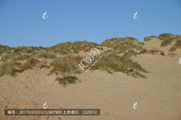 沙丘