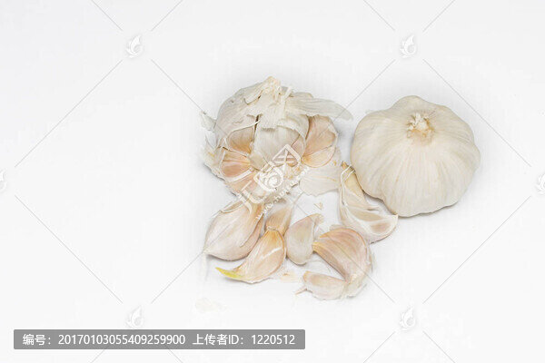 大蒜1