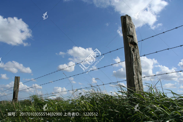 籬笆