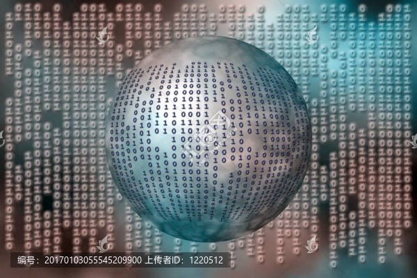 數(shù)據(jù)；二進(jìn)制代碼。