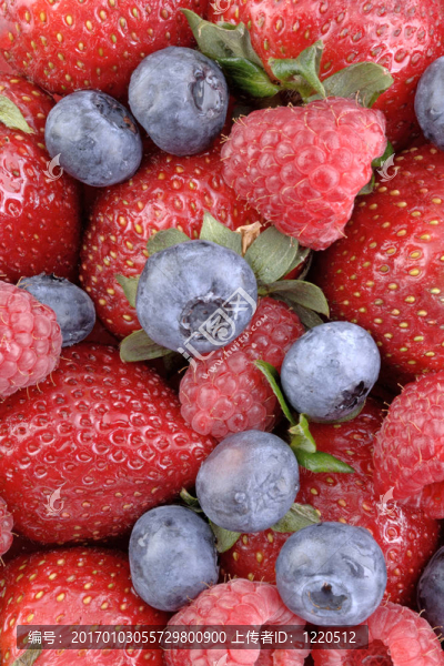 漿果berrylicious,1