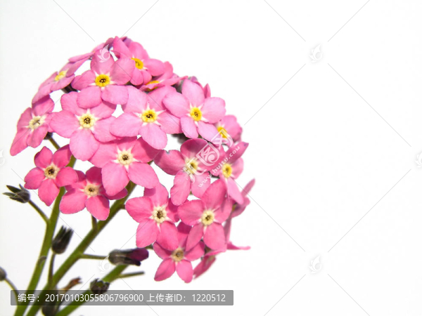 不要忘記我