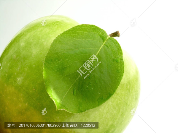 蘋果葉