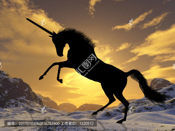 獨(dú)角獸