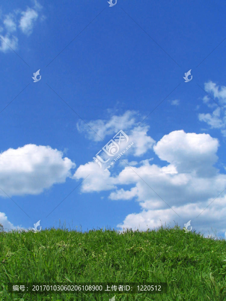 天空和草地