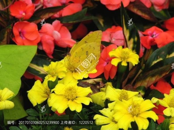 混合