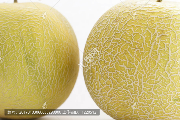 哈蜜瓜
