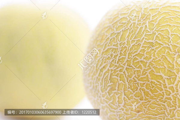 哈蜜瓜