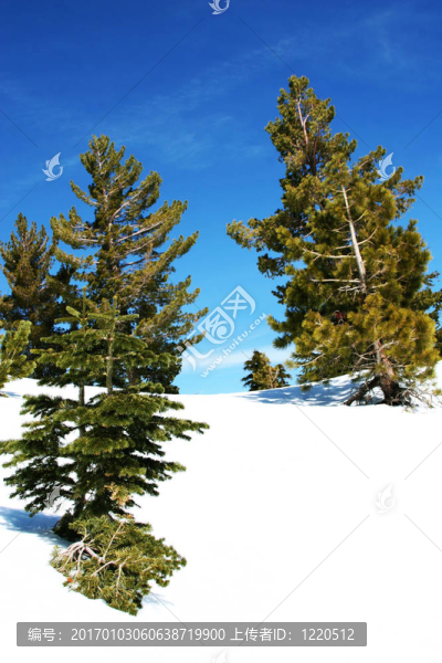 藍(lán)天和雪