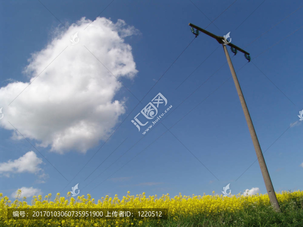 權(quán)力場
