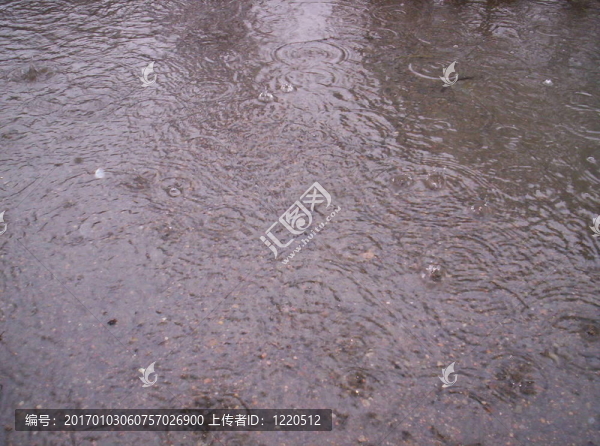 雨水坑