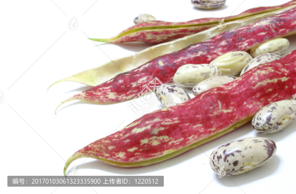 紅豆