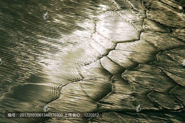 浪潮6