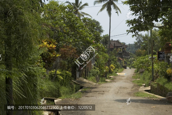 巴厘島的路
