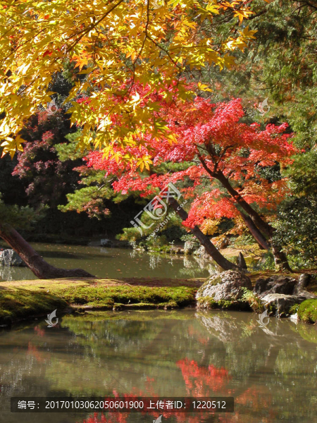 日本式庭園