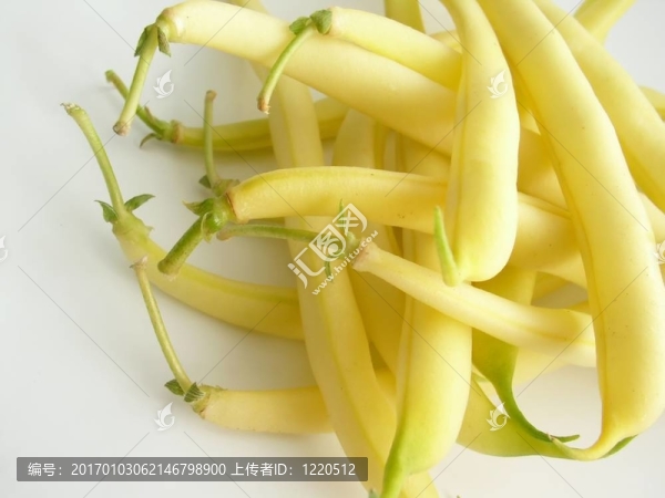 菜豆