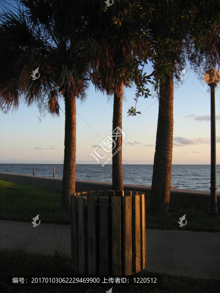 海灘場景