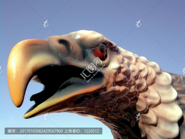 禿頭鷹