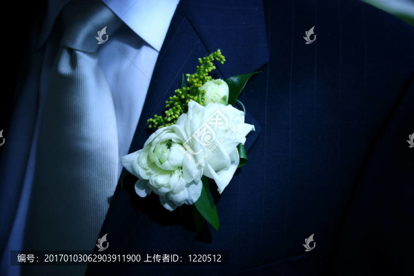 胸花宏
