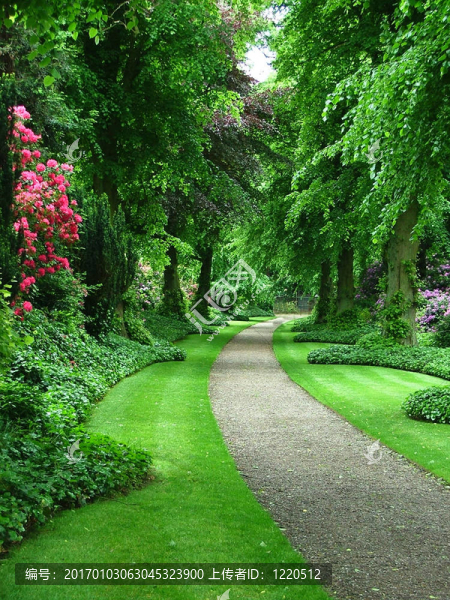 花園路徑