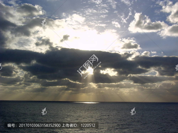 海洋的陽光