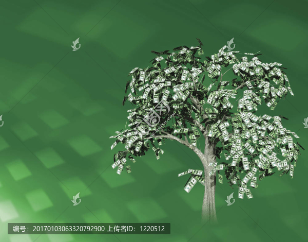金錢樹