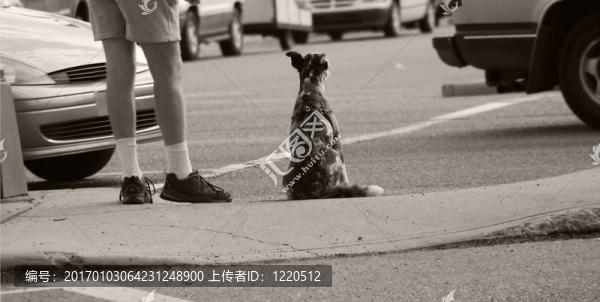 耐心等待