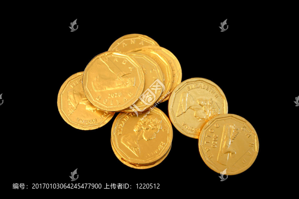 金幣