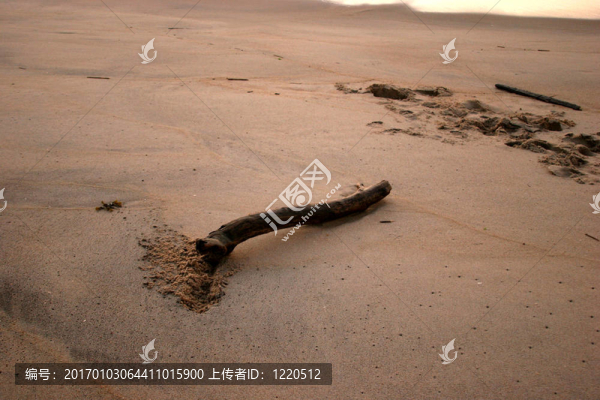 浮木