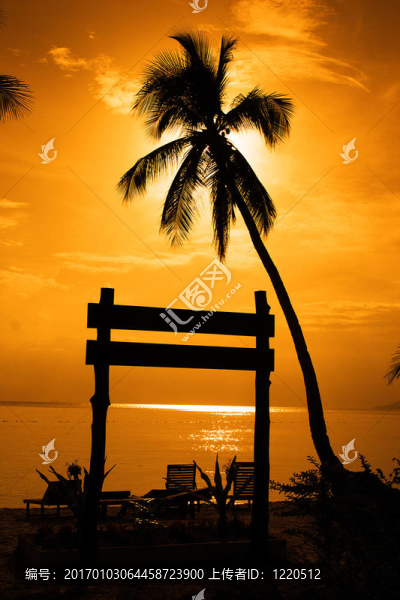 夕陽的剪影