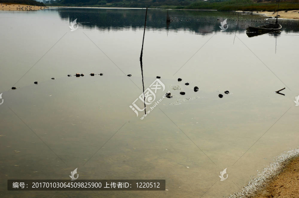 湖