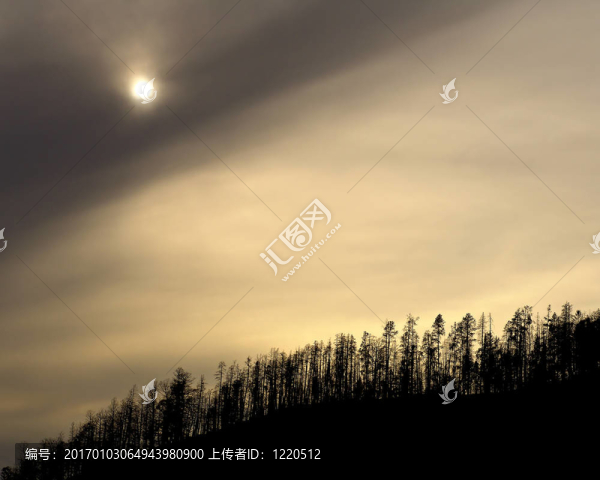 黃石山林