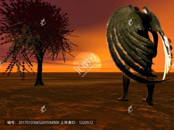 天使看日落。