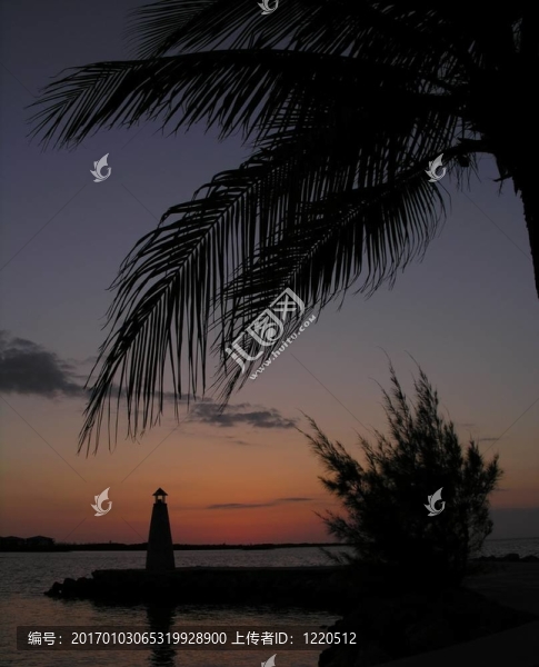熱帶的夜晚