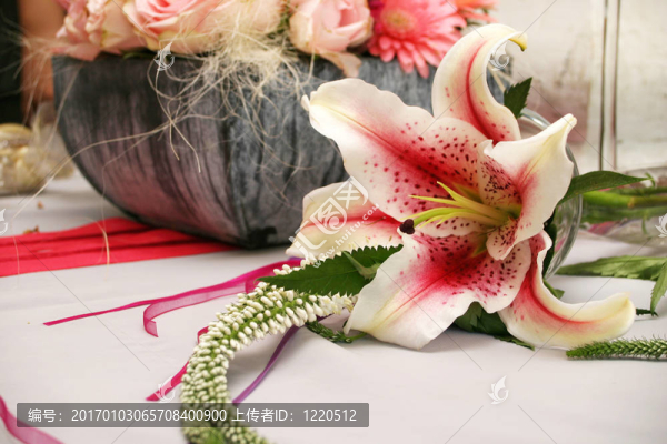 蘭花的安排