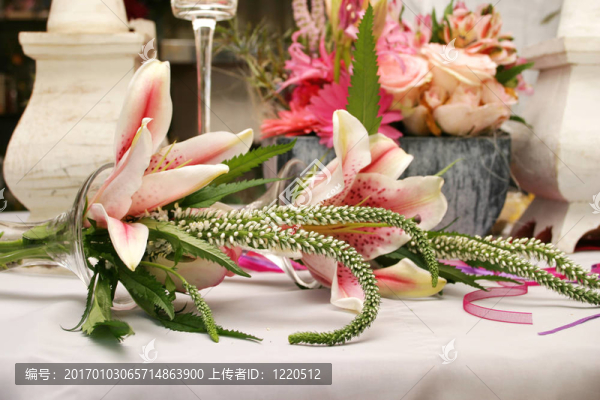 蘭花的安排