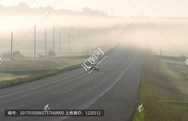霧路車