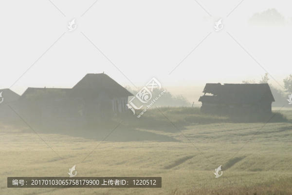 霧中的建筑物