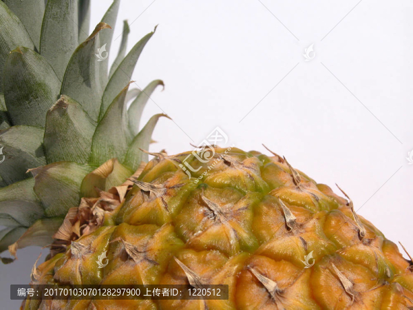 菠蘿