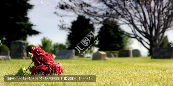 墓地致敬